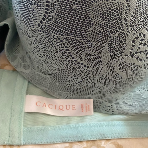 Blue lace bra 44DD - Picture 2 of 2